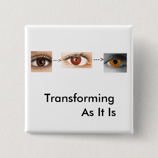 Transforming Pinback Button