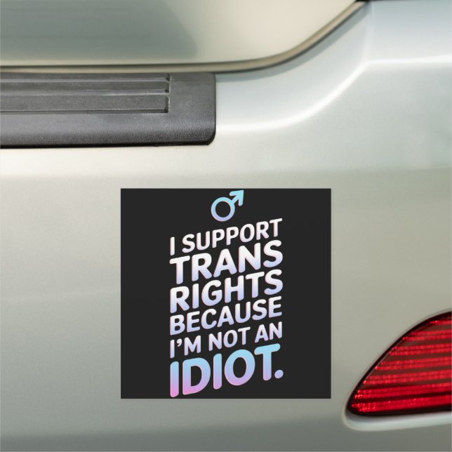 Transgender Ally Trans Pride Flag Support  Car Magnet (In Situ)