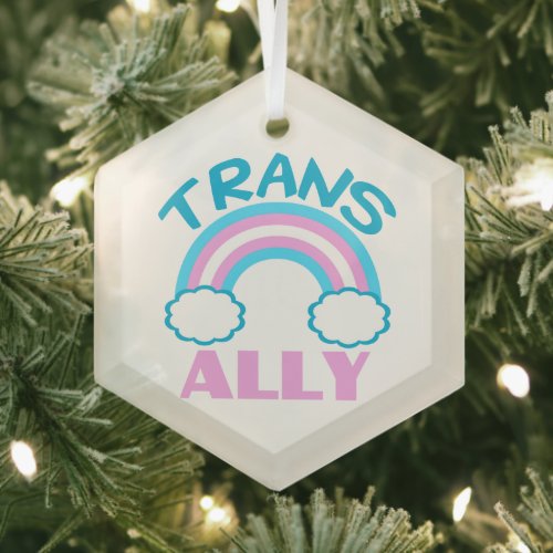 Transgender Ally Trans Rainbow Pretty Christmas Glass Ornament