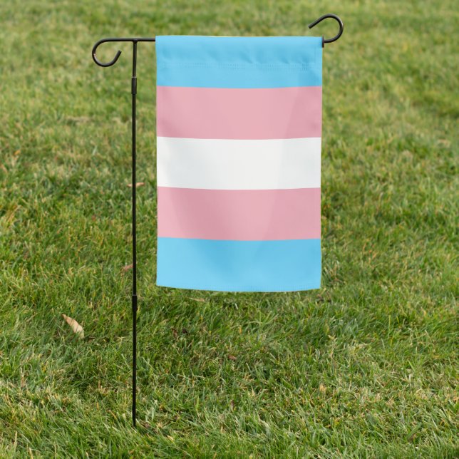 Transgender Flag (In SItu)