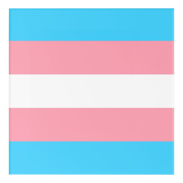 Transgender Flag Acrylic Print (Front)