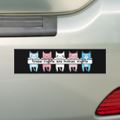 Transgender Flag Cat Trans Rights Are Human Rights Bumper Sticker (On Car)