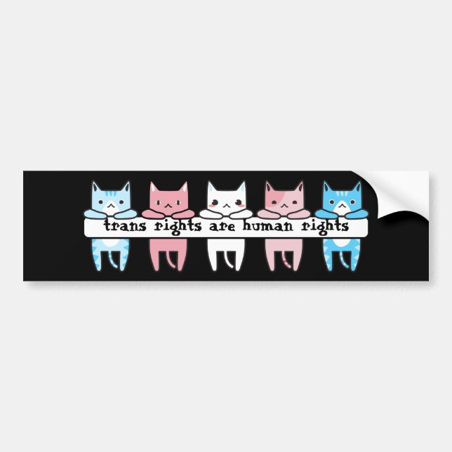 Transgender Flag Cat Trans Rights Are Human Rights Bumper Sticker (Front)