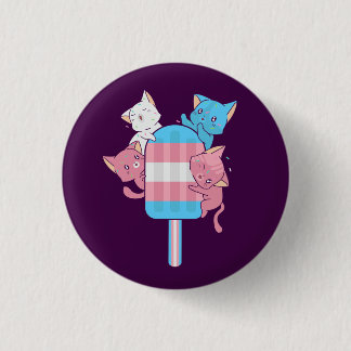Transgender Flag Cats and a Popsicle Button
