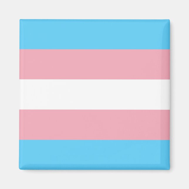 Transgender Flag Magnet (Front)