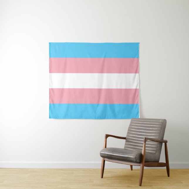 Transgender Flag Medium Tapestry (In Situ (Horizontal))