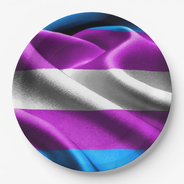 Transgender Flag Paper Plates (Front)