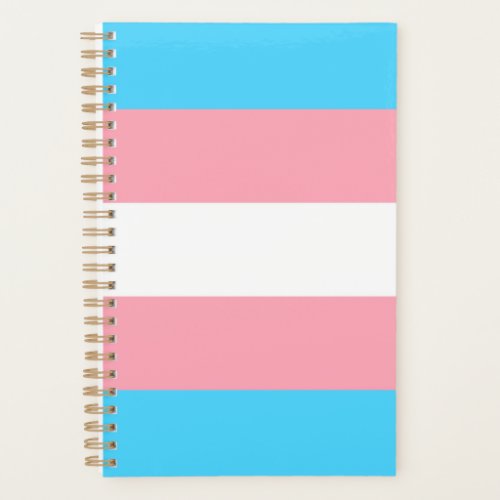 Transgender Flag Planner