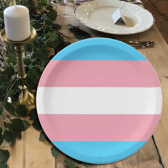 Transgender Flag plates, Pride community / gender Paper Plates (Creator Uploaded)