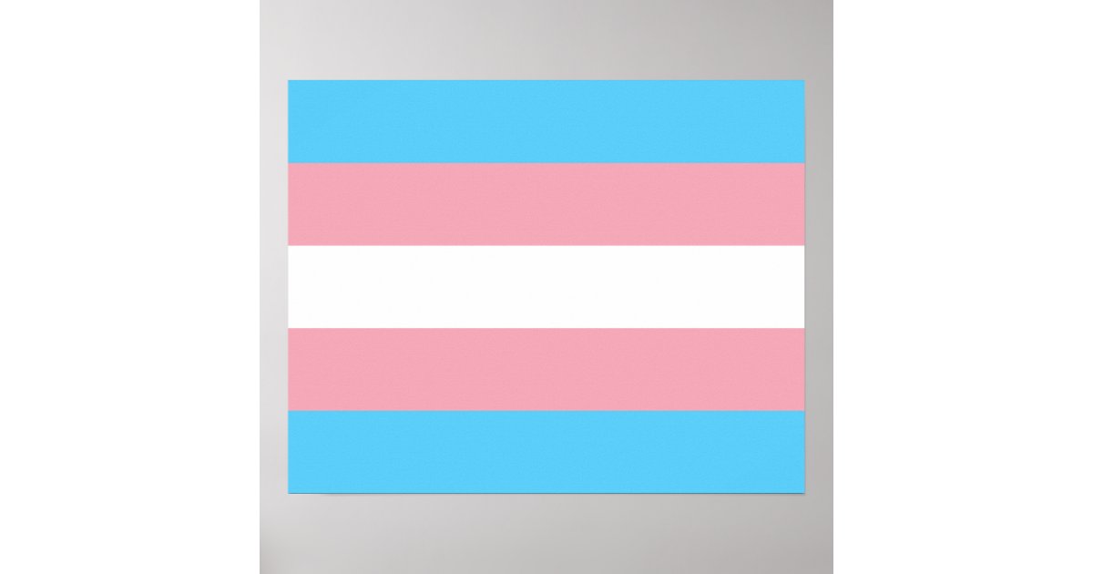 Transgender flag Poster | Zazzle