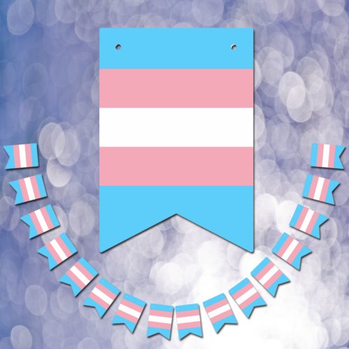 Transgender Flag  Pride community gender flag