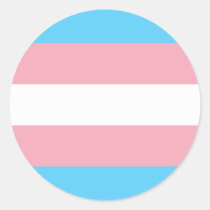 Transgender flag trans pride LGBT symbol gay homos Classic Round Sticker