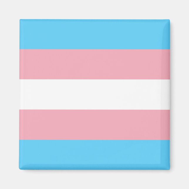 Transgender flag trans pride LGBT symbol gay homos Magnet (Front)