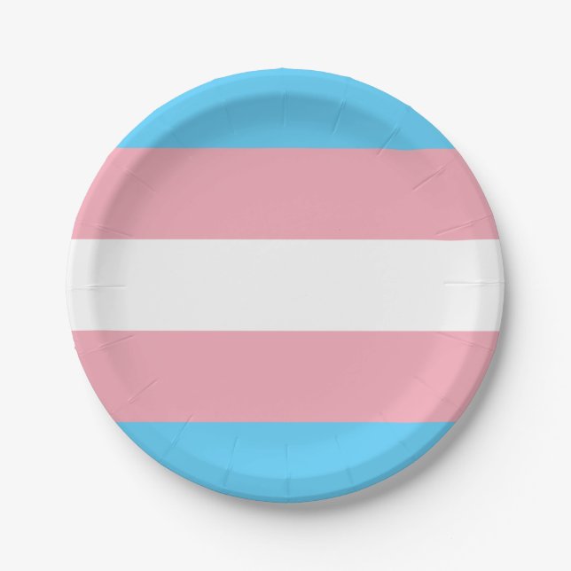 Transgender flag trans pride LGBT symbol gay homos Paper Plates (Front)