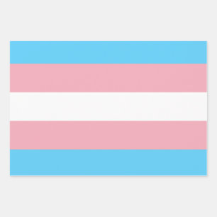 Transgender Flag Wrapping Paper Sheets