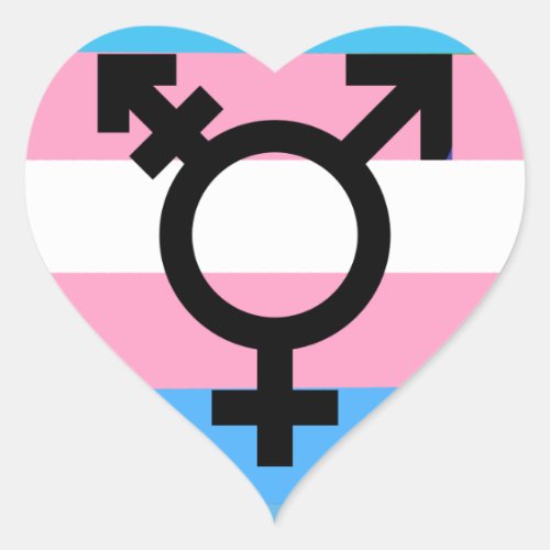 Transgender MTF FTM Awareness Pride Sticker