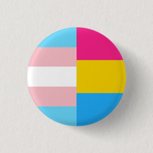 Transgender Pansexual Dual Pride Flag Button