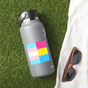 Transgender Pansexual Dual Pride Flag Laptop Sticker