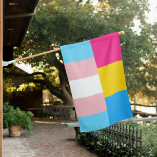 Transgender Pansexual Dual Pride House Flag