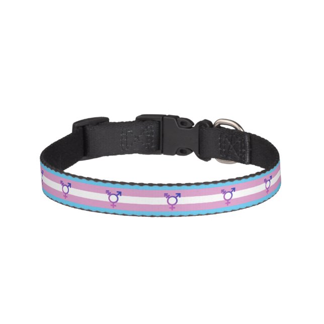 Transgender Pride and Symbol Pet Collar (Front)