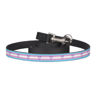 Transgender Pride and Symbol Pet Leash