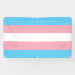 Transgender Pride Banner