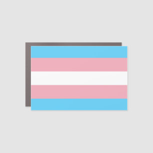 Transgender Trans Transpride Sticker By Gee Theyhe - Genderfluid