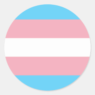 Transgender Pride Circle Sticker