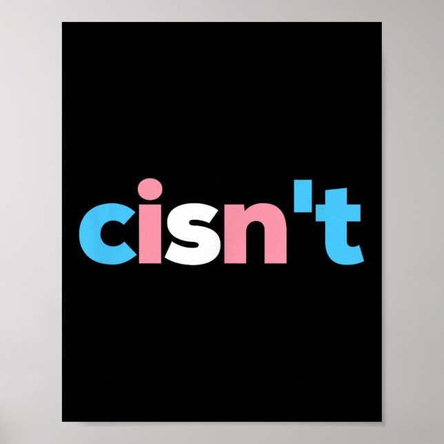 Transgender Pride Cisnt - Lgbtq Trans Flag - Funny Poster (Front)