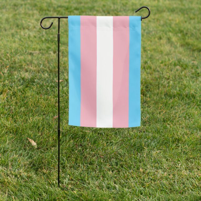Transgender Pride flag (In SItu)