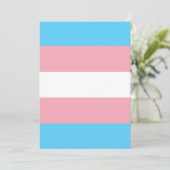 Transgender Pride Flag (Standing Front)