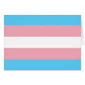 Transgender Pride Flag (Front Horizontal)