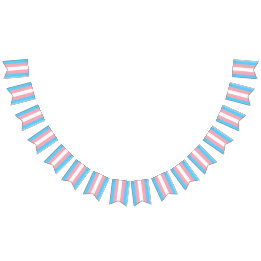 Transgender Pride Flag