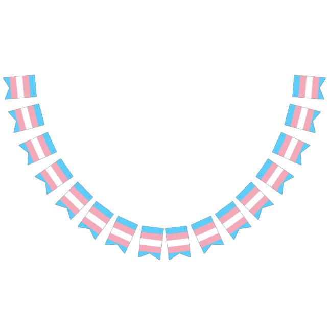 Transgender pride flag banner (All)