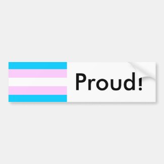 Transgender Pride Flag Bumper Sticker