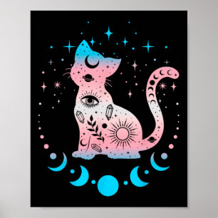 Transgender Pride Flag Colors Cat Lovers  Poster