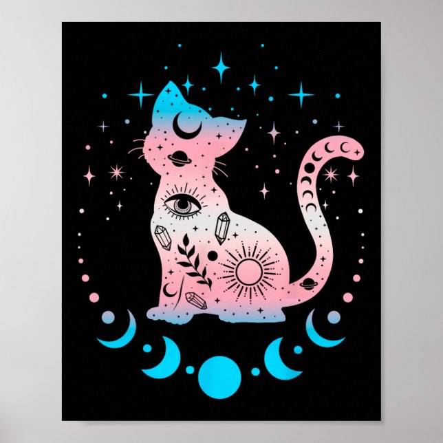 Transgender Pride Flag Colors Cat Lovers  Poster (Front)