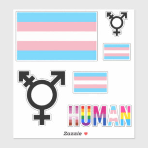 Transgender Pride Flag Coutout stickers