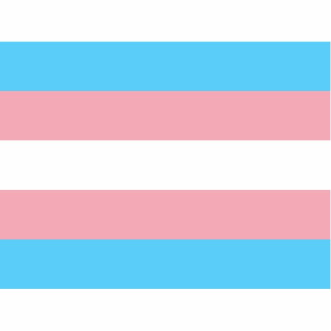 Transgender Pride Flag Cutout (Front)