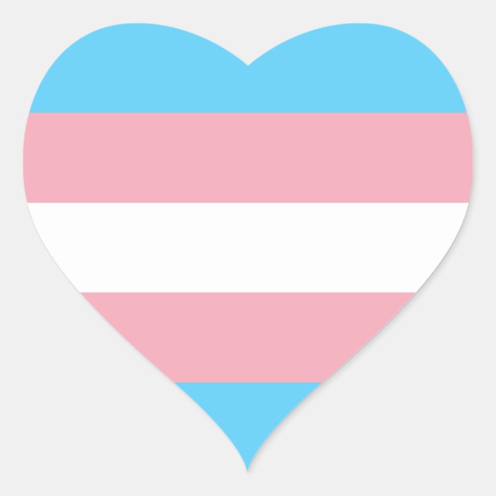 Transgender Pride Flag Heart Sticker | Zazzle.com