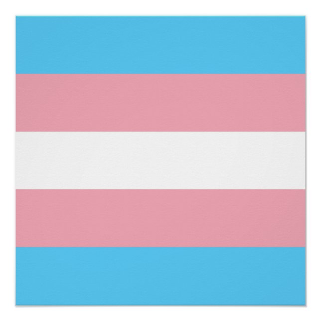 Transgender Pride Flag - LGBT Rainbow Poster (Front)