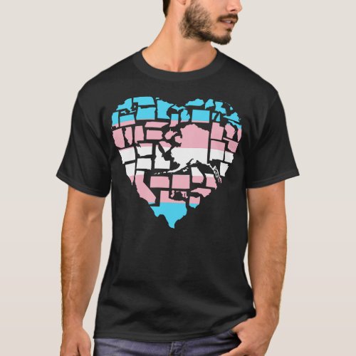 Transgender Pride Flag Love Not Hate Trans Pride i T_Shirt