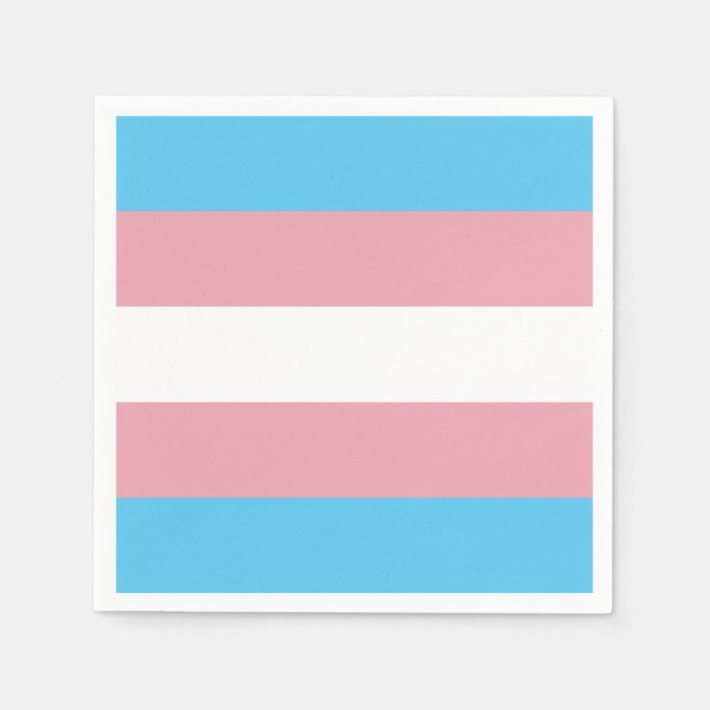 Transgender Pride Flag Napkins (Front)