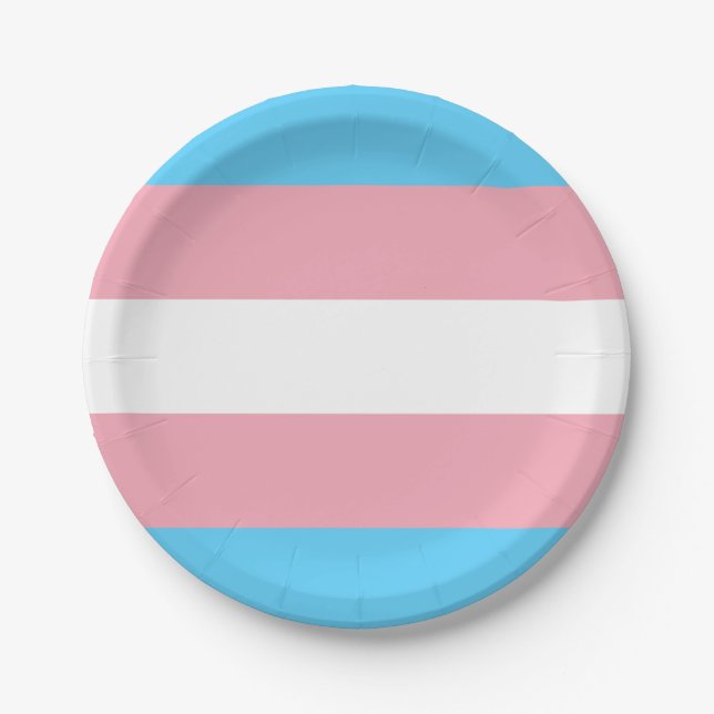 Transgender Pride Flag Paper Plates (Front)