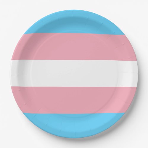 Transgender Pride Flag Paper Plates
