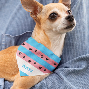 Transgender Pride Flag Pet Dog Cat  Bandana