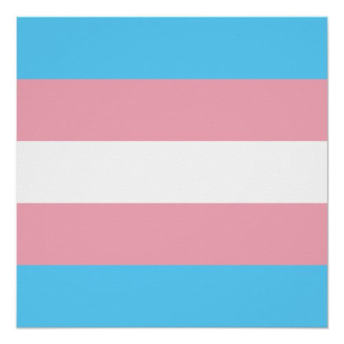 Transgender Pride Flag Poster