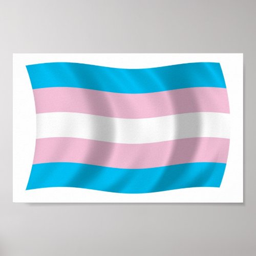 Transgender Pride Flag Poster Print