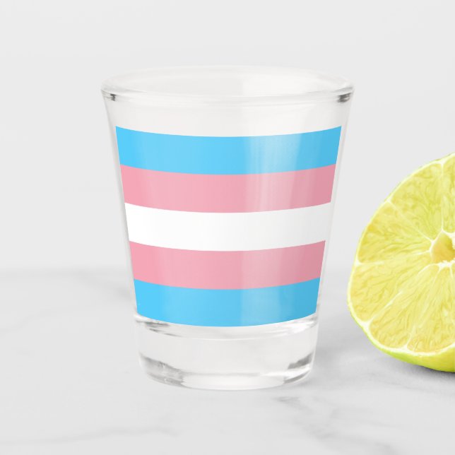 Transgender Pride Flag Shot Glass (Front)