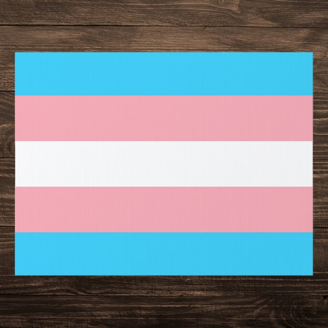 Transgender Pride Flag Sign (Creator Uploaded)